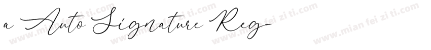 a Auto Signature Reg字体转换